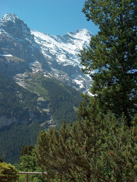Ferienwohnungen Chalet Hohturnen Grindelwald Exterior foto